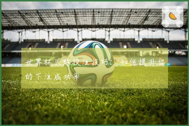 世界杯买球投注技巧：如何提升你的下注成功率