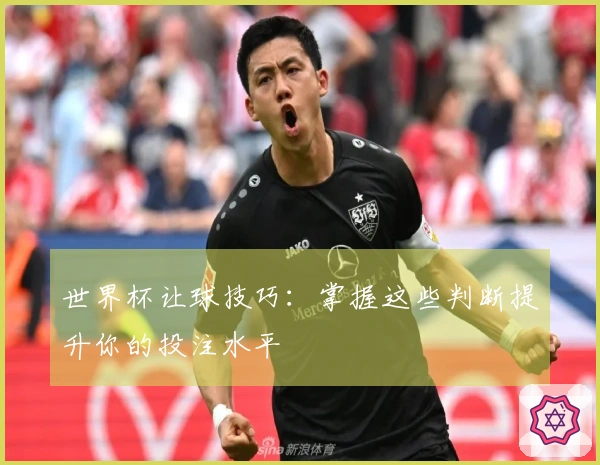 世界杯让球技巧：掌握这些判断提升你的投注水平