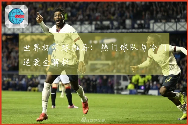 世界杯买球推荐：热门球队与冷门逆袭全解析