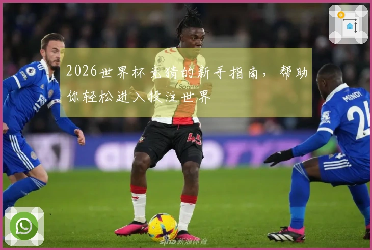2026世界杯竞猜的新手指南，帮助你轻松进入投注世界