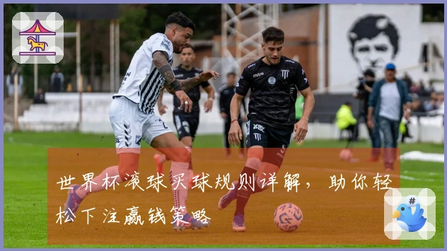 世界杯滚球买球规则详解，助你轻松下注赢钱策略