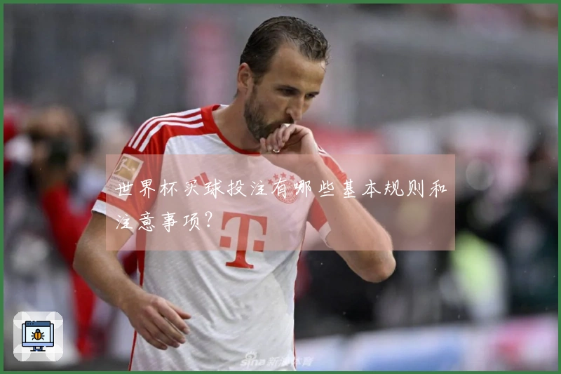 世界杯买球投注有哪些基本规则和注意事项？