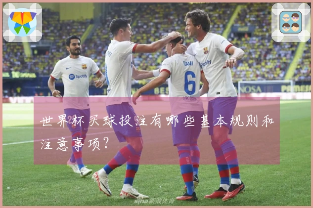 世界杯买球投注有哪些基本规则和注意事项?