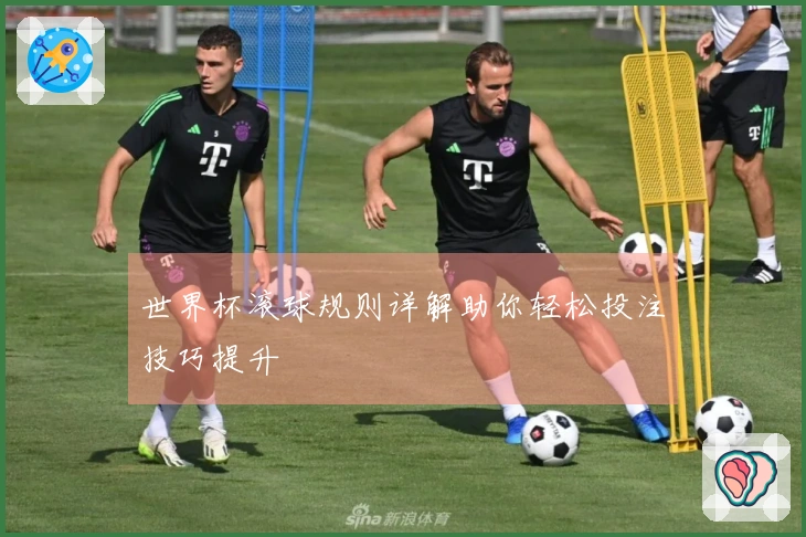 世界杯滚球规则详解助你轻松投注技巧提升